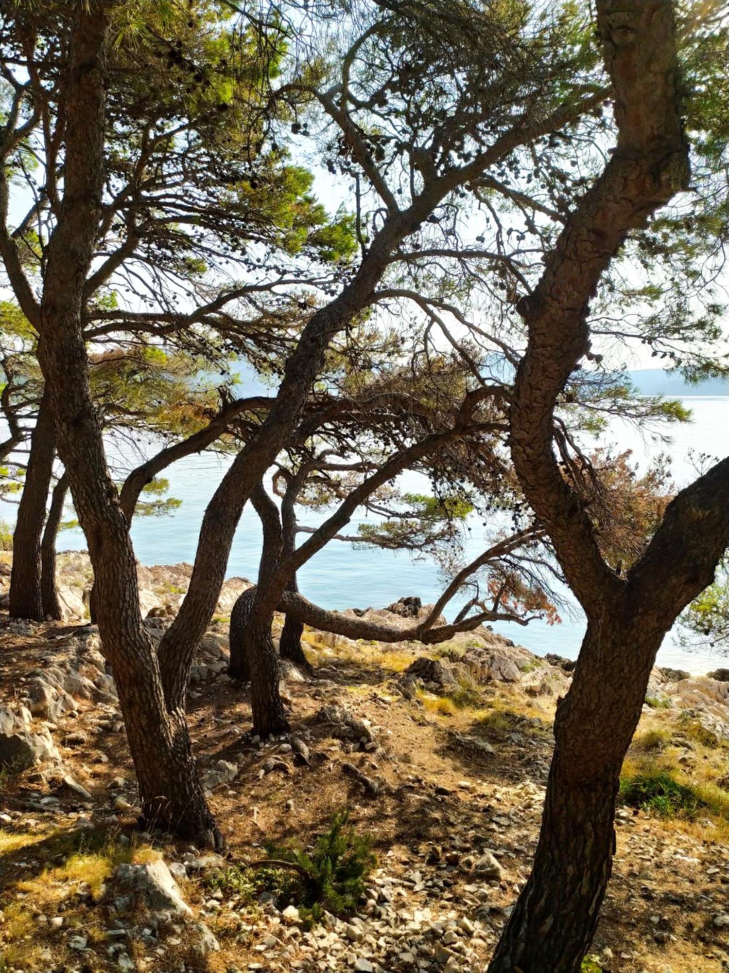 Villa Ines 제제라 외부 사진